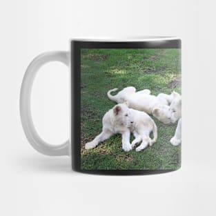 White Lion Cubs Playing Mug